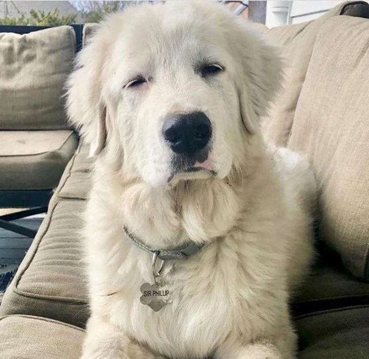 2046465a52808e573fcbce9da5