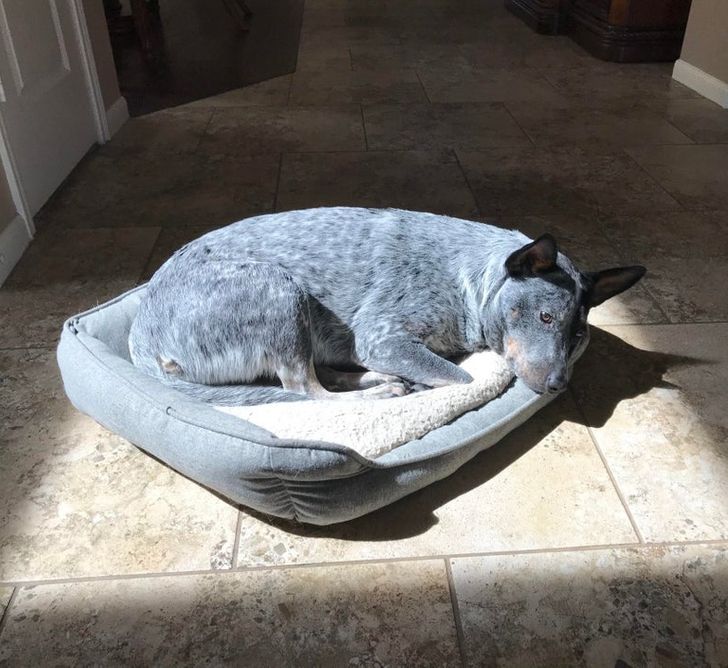 2049585f088655aade43cec1ae