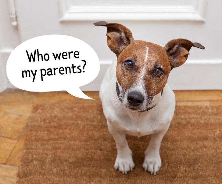 20525b51898e007ebe456818fe