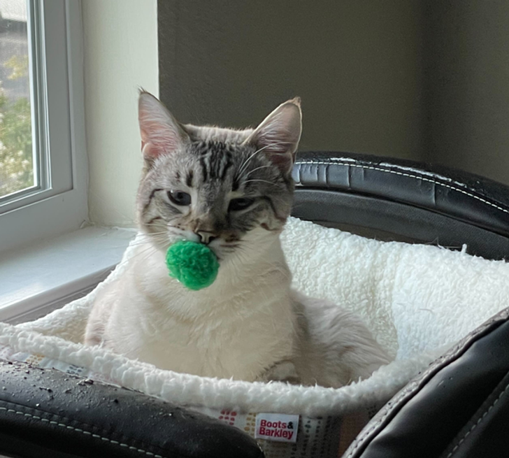 206182582bbcfc89df89f5f2fc