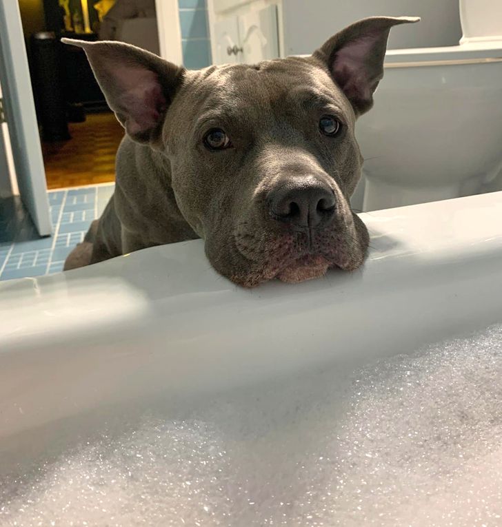 206295500aad9a044a4355a3cb