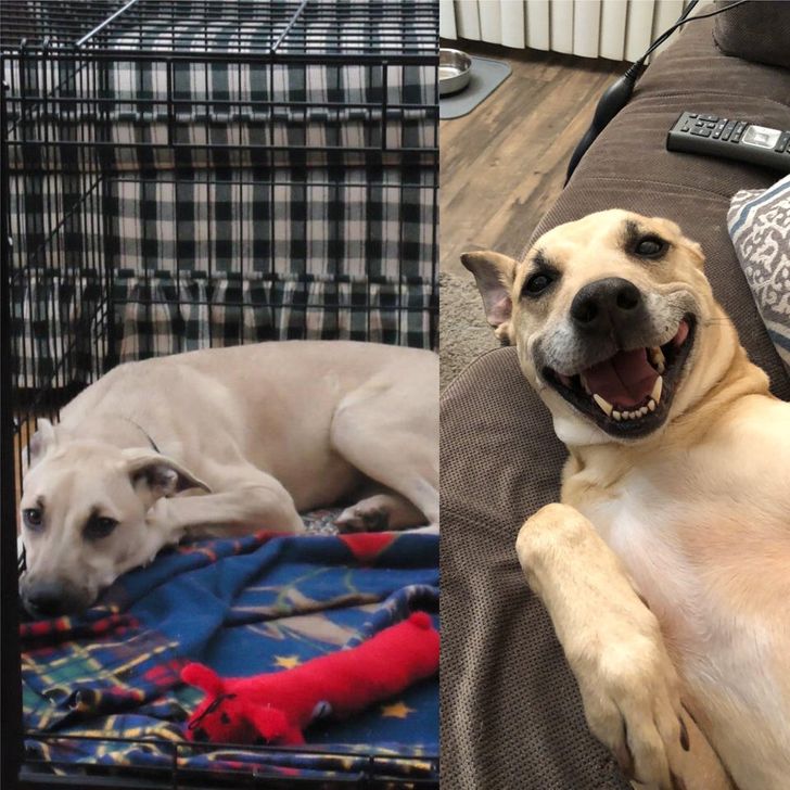 2063835d76a12f9885f0ad2a13