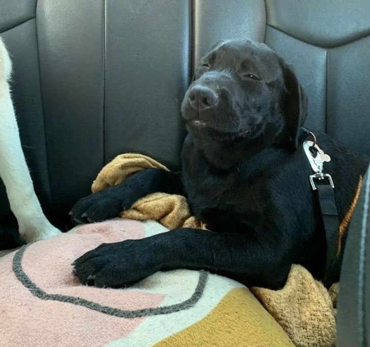 2063a350e393e46ac1ce8ca5fc