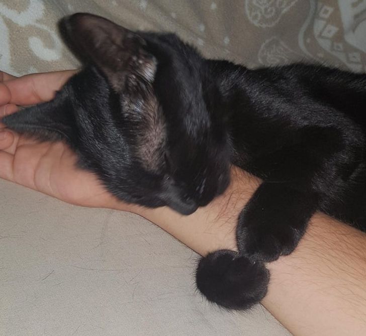 20656a5755bab8a7281431c3b7