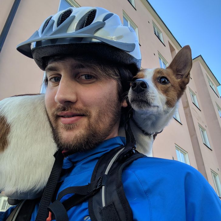 2076d1523d842fb12d81b5bc06