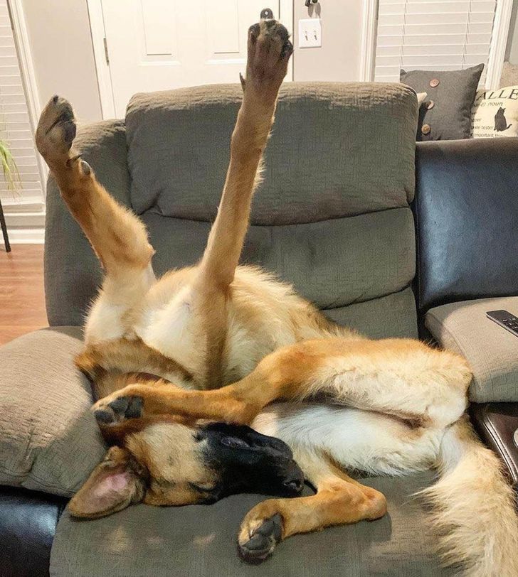 20780b55b69a875a7ea6b2c246