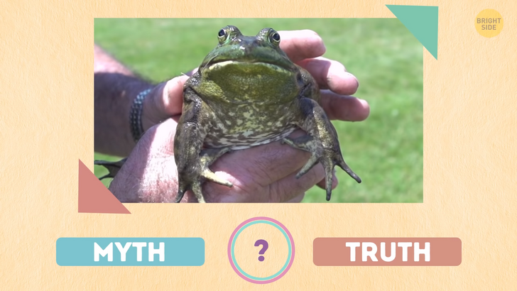 207a8950bd88d4fdcd0ae66509