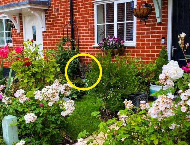 208a4a5fbb9197c40cd0b74ccf