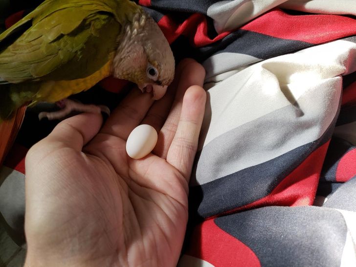 208a6f5557a741ff9beec08d83