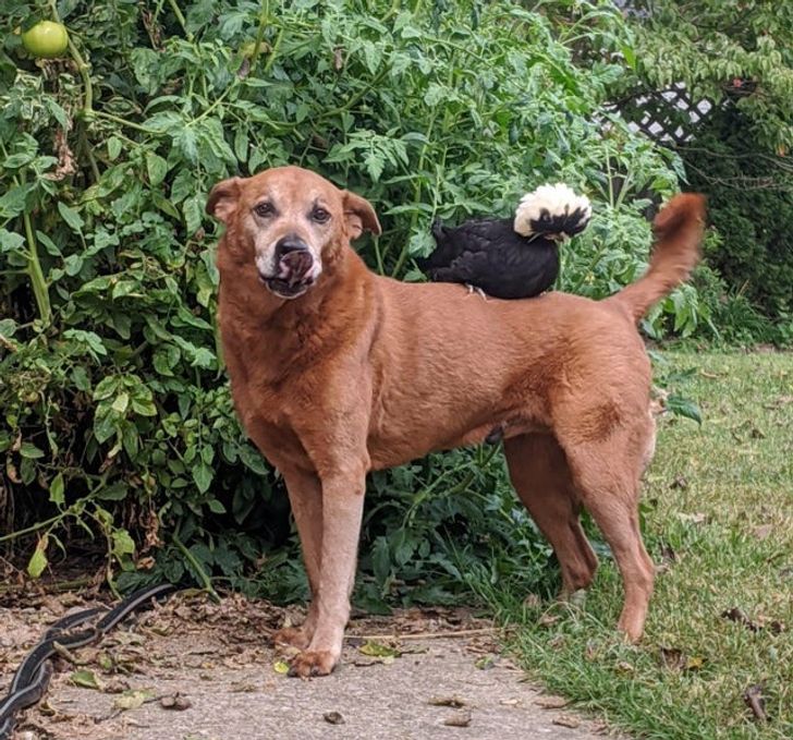 208d91560c90ea8266e9af2da4