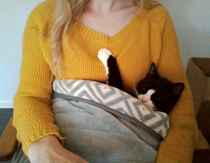 20948c5c2c95f3b146ee7eb892