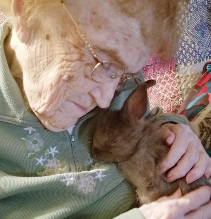 20952f5843b5ff295d0b2a621d 20952f5843b5ff295d0b2a621d