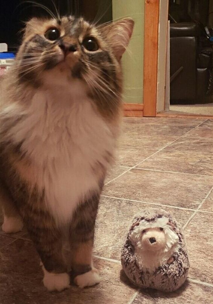 209e5b506d9b5170902a4a7729 209e5b506d9b5170902a4a7729