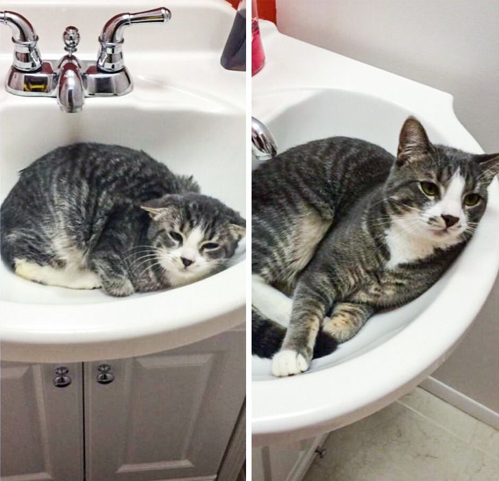 209ebf5a7596c231f7e653cd3a