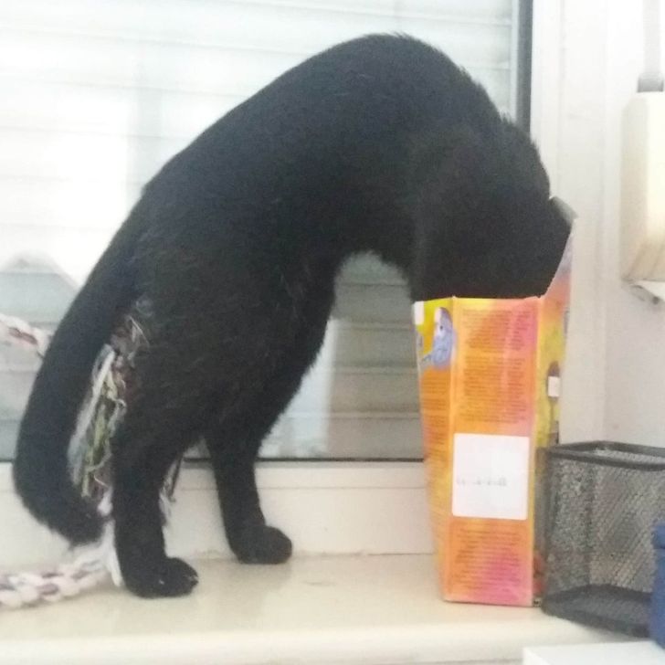 209f39536f837942ba5d08921b