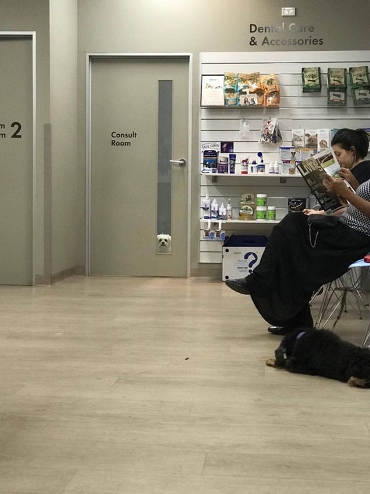 20a17051f893d16c402a4652a5