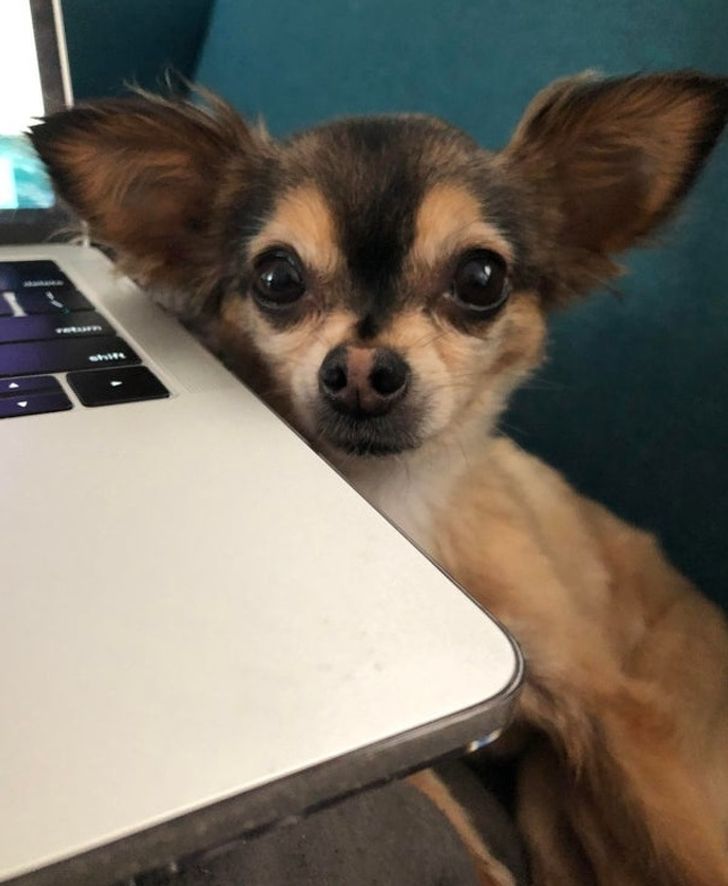 20a1875fa29b0593a1398dff15