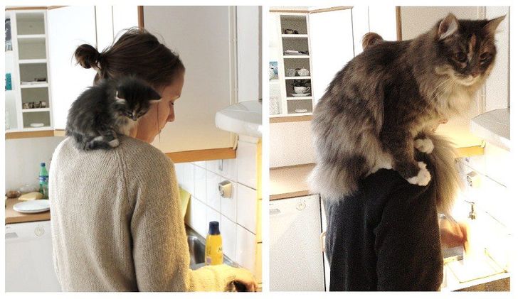 20a21352bfb763ad90714ab02b