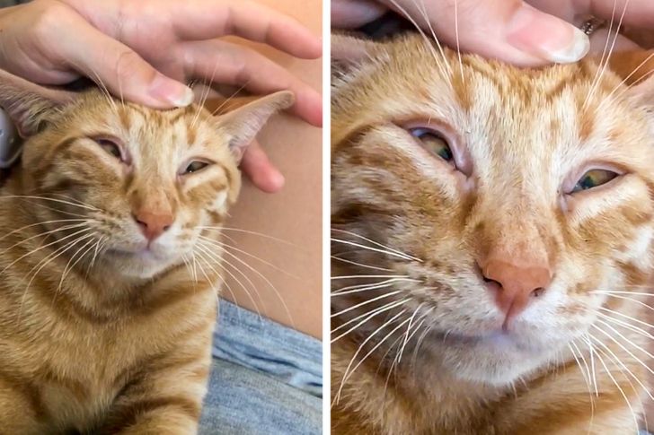 20a33b5fb3b347b8318b55358b