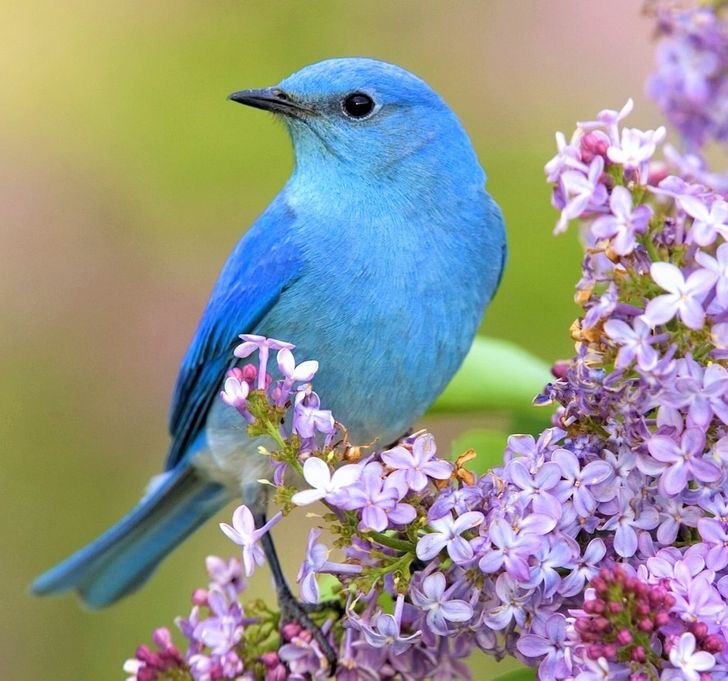 20a70759498bef48c6db781d28