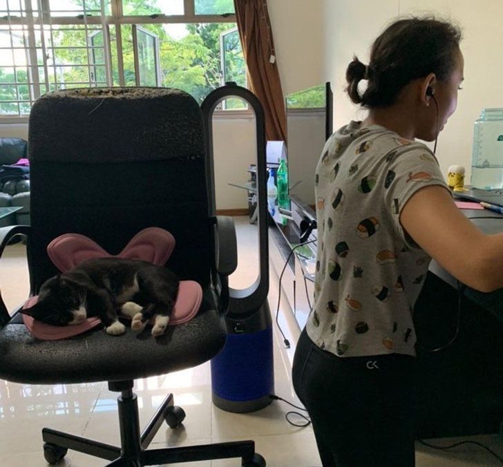 20a74658e58f5e7ce17f5866f2