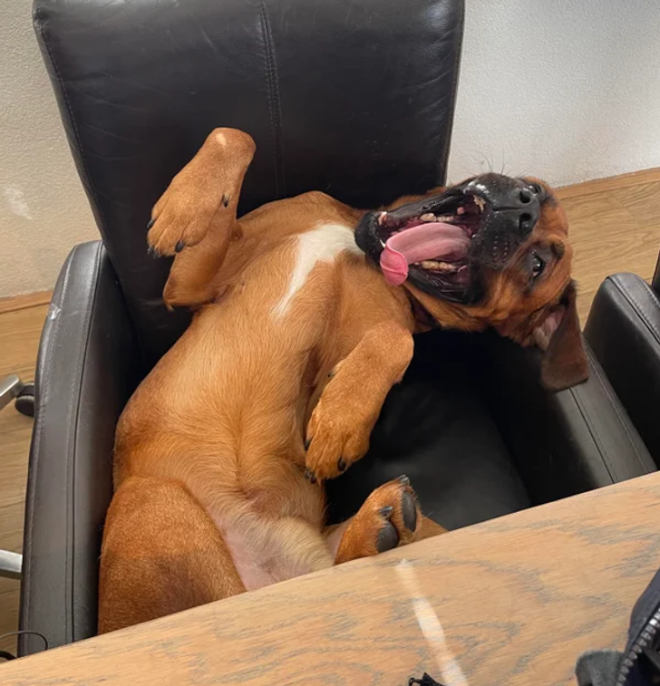 20a8df5a6eb7b7aeafdb3d1015