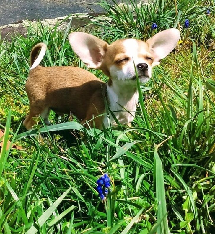 20a91a5f5b865b959323f5e2d3