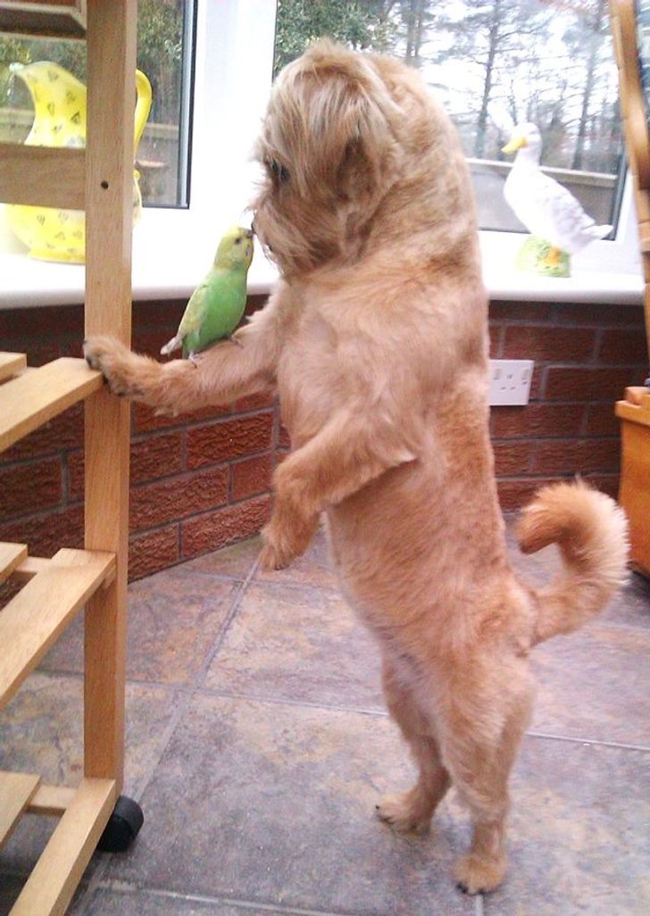 20ab3d5bd5baa664f8f783748b