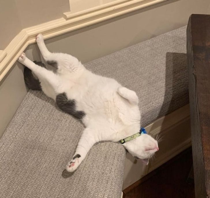 20bae75519955ba7b2ab328b26