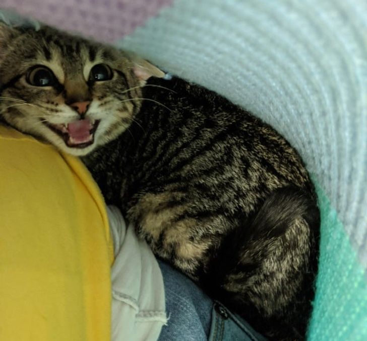 20bd9b58618b55ca0d5fe8152e