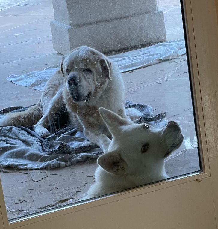 20bfcf5e54abe4fff715296217