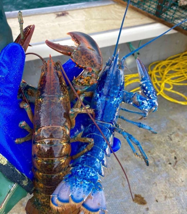 20c2fa5c80ad6a8867782af18f