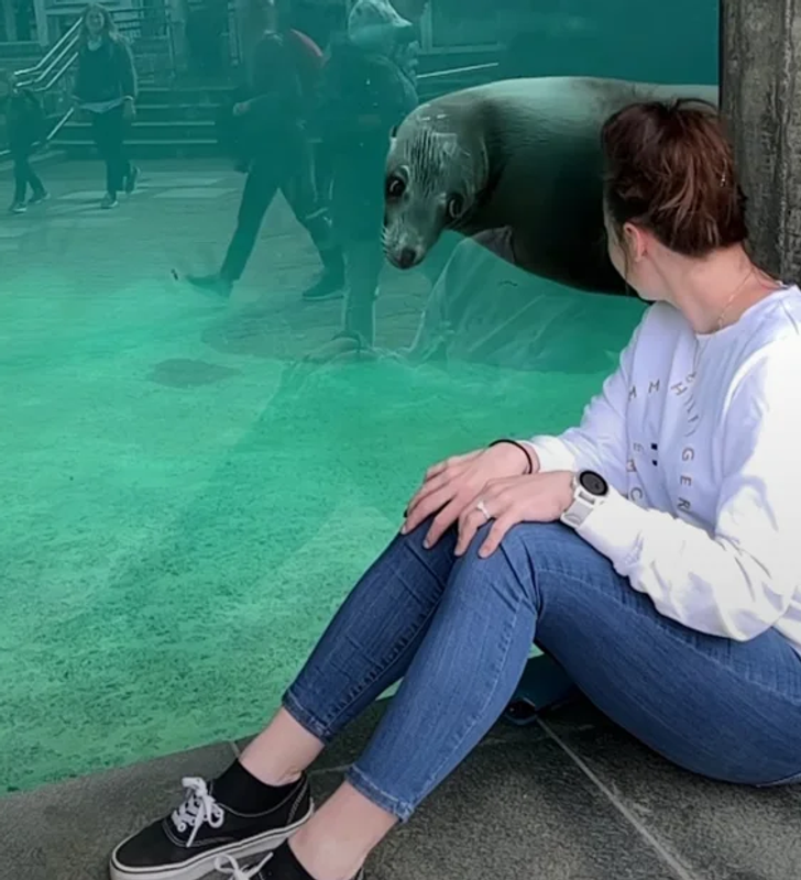 20c9095b09a177bf55812b979c