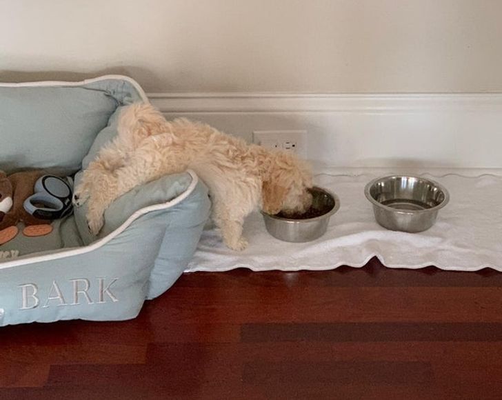 20c99d573793b5cd82add1e46b