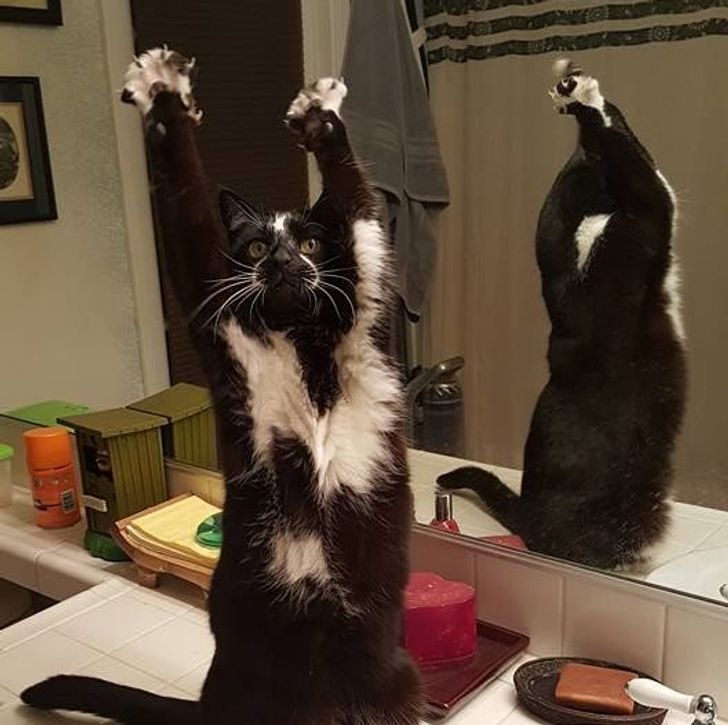 20ccf45fbcb088f22bec5fc6d1