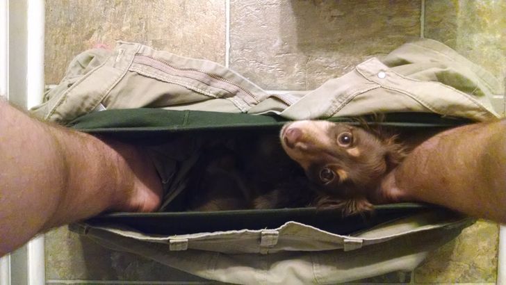 20cdc65710876c63967220bdb6