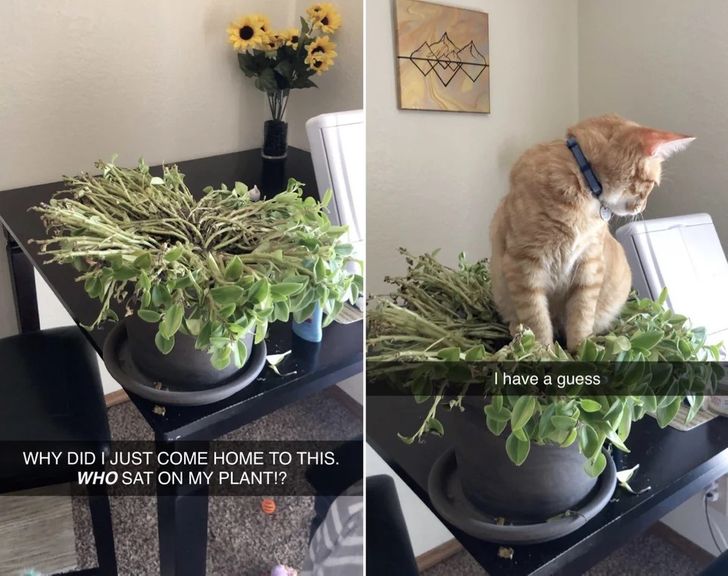 20d5085aad9bc5f568204a7a47