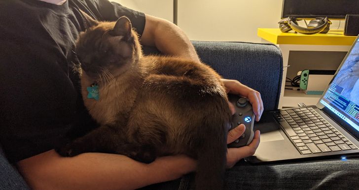 20e2ca59f29d1e9ada5ab8bccf 20e2ca59f29d1e9ada5ab8bccf