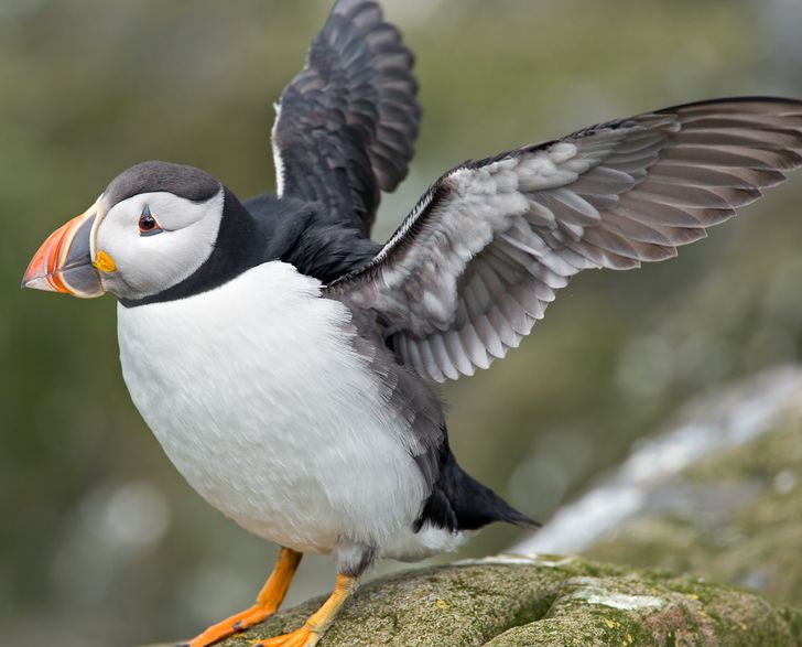 20e3bb5596bdaee66400afad4b