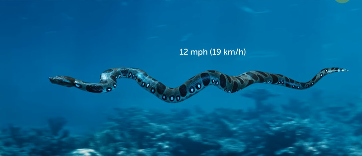 20e3c25b4c8c4b6e95c3996d73