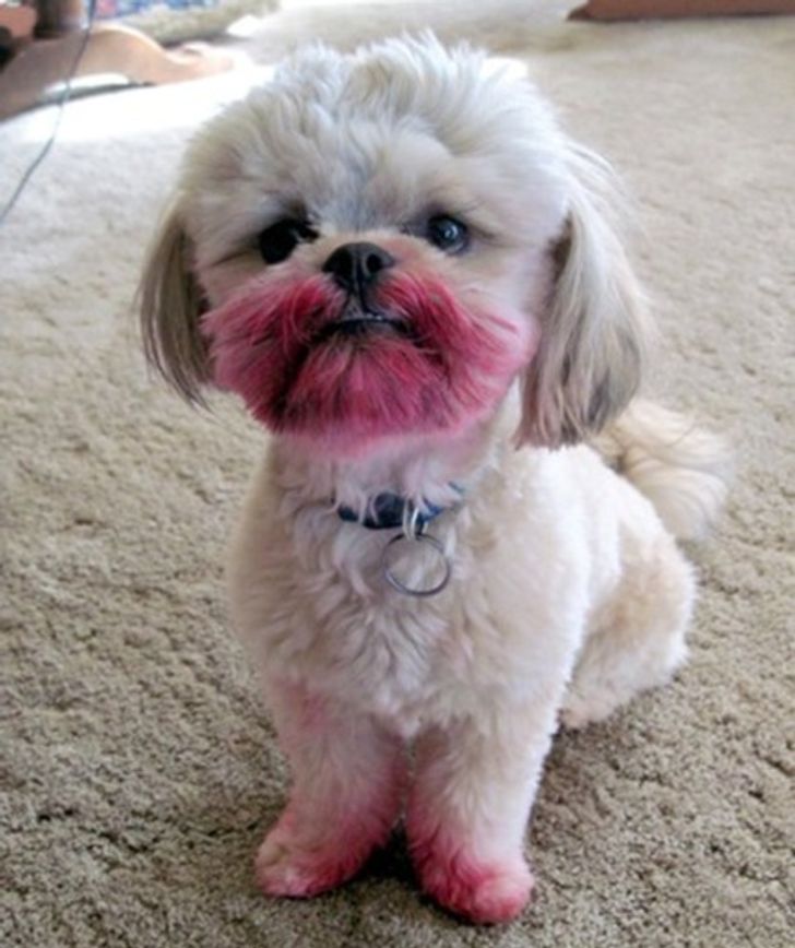 20eb445f1eaa7c8b8d63a77c45