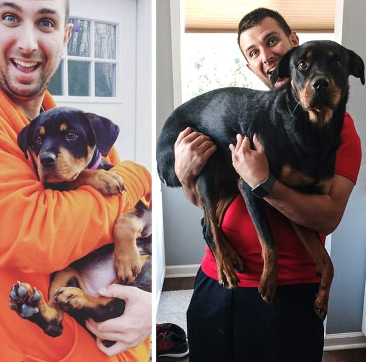 20f7b553ea9055021a2326c5a9