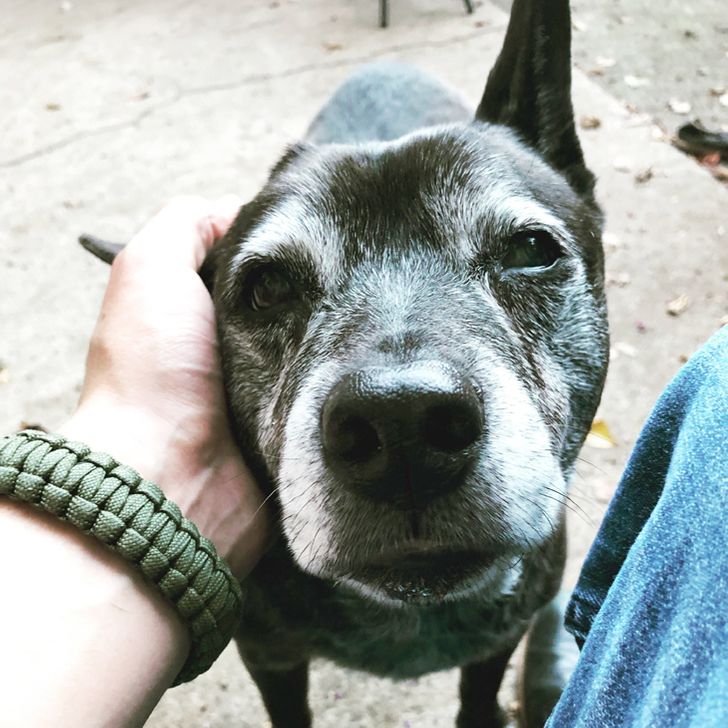 20fb90525da77b765900b6ca1e