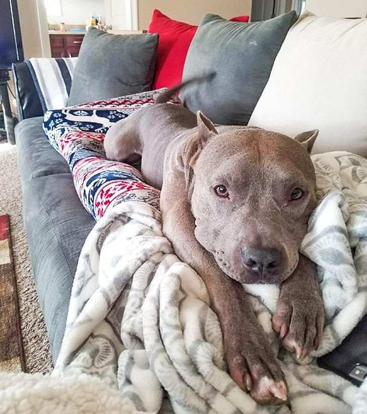 20fdf05266a8068f6ce55fb419