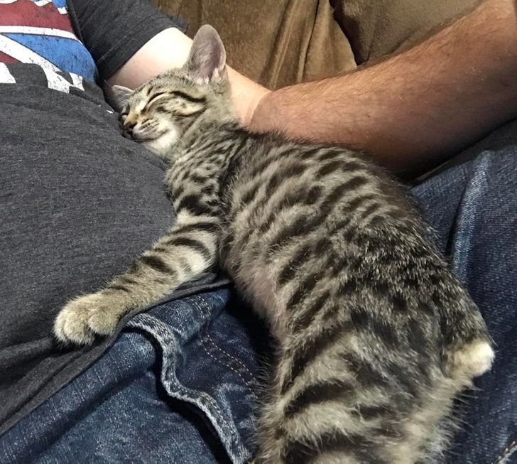 20fef15f408296912f52e5045a