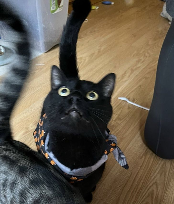 2102525b6aba65961be22034f9