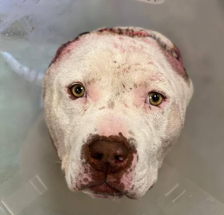 2103305b82a31b78ff90d55bbe