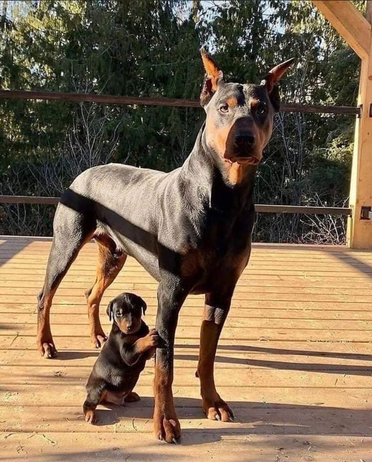 21115f59d08ae971f58fdf148f 21115f59d08ae971f58fdf148f