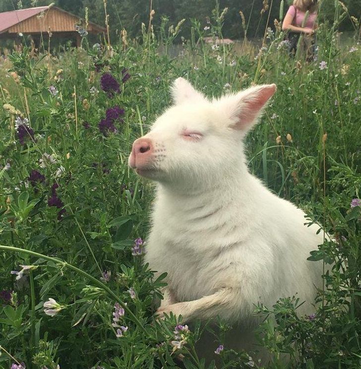 2114fe5f88a432cd9407cfcb13