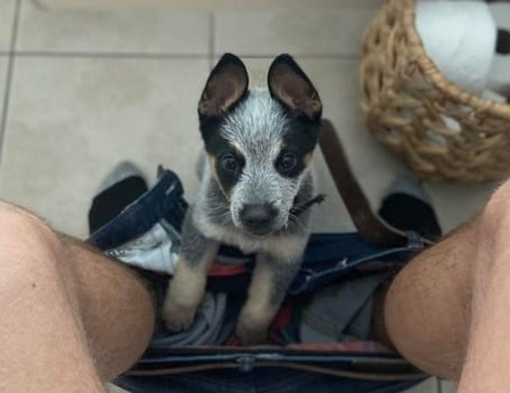 2116f55794b642d2c706653bd6 2116f55794b642d2c706653bd6